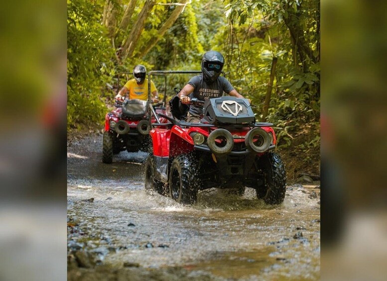 Picture 3 for Activity Carabalí Rainforest Park: Guided ATV Adventure Tour