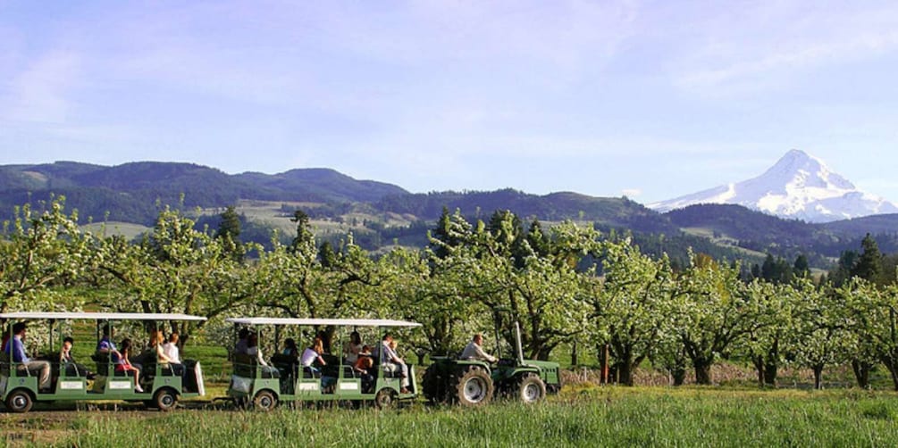 Picture 1 for Activity Hood River: Orchard Tour