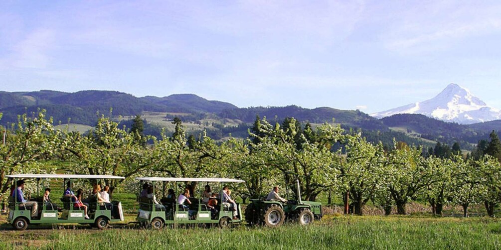 Picture 1 for Activity Hood River: Orchard Tour