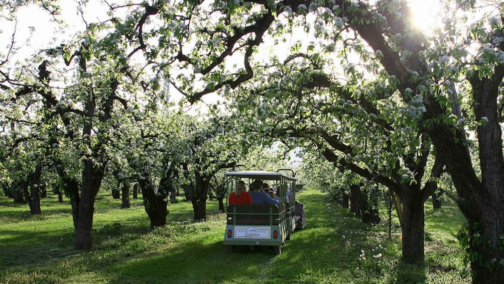 Picture 3 for Activity Hood River: Orchard Tour