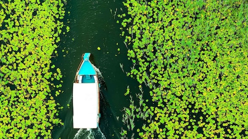 Oförglömligt äventyr: Upptäck SKADAR LAKE - guidad tur