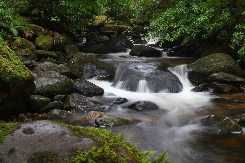 Picture 5 for Activity Ring of Kerry: Full-Day Tour from Killarney