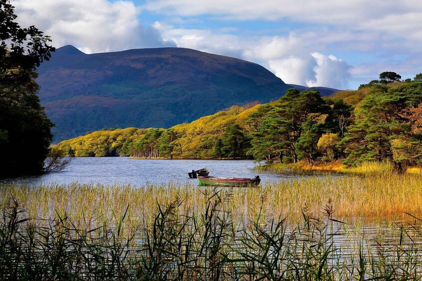 Picture 6 for Activity Ring of Kerry: Full-Day Tour from Killarney