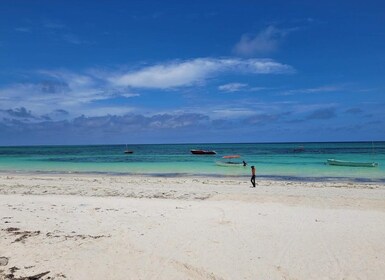 Private Tour: Snorkelling trip at Blue Lagoon with Starfish