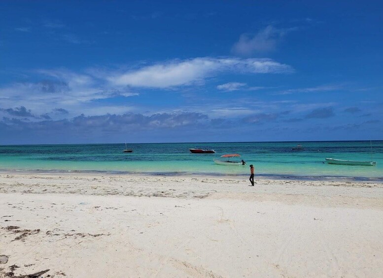 Private Tour: Snorkeling trip at Blue Lagoon with Starfish