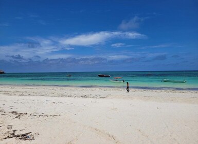 Private Tour: Snorkelling trip at Blue Lagoon with Starfish