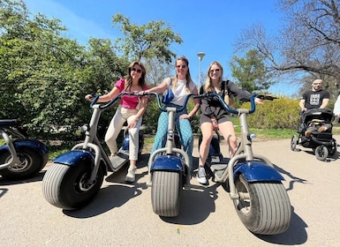 Berlin: 3-timmars guidad liten grupp Fat Tire E-Scooter Tour