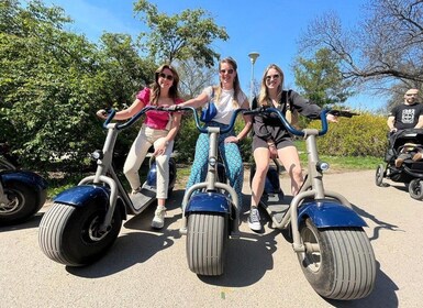 3 timmars Berlin guidad liten grupp Fat Tire E-Scooter Tour