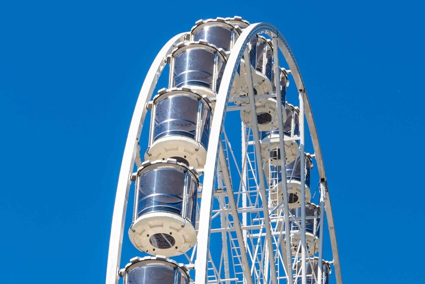 Picture 2 for Activity Cologne: Ferris wheel in front of the Cologne Zoo