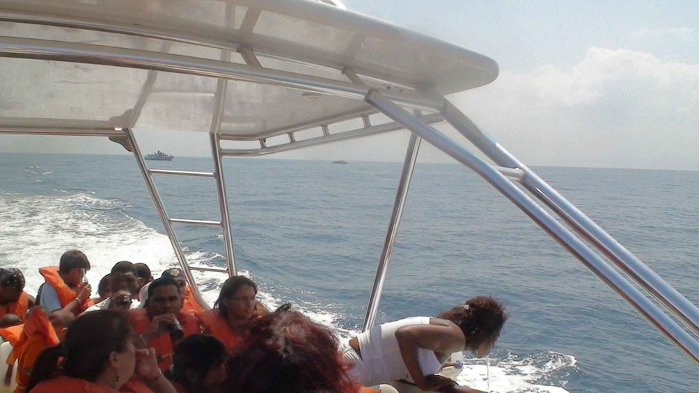 Picture 1 for Activity Santo Domingo: Whale Watching and Barcadi Island Full Day