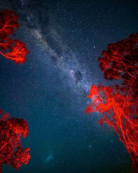 Picture 4 for Activity Beach Stargazing with an Astrophysicist in Jervis Bay