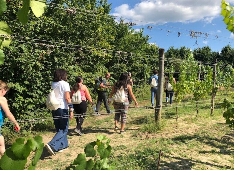 Picture 3 for Activity San Sebastiano Curone: Walking Tour in Val Curone