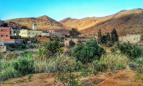 From Taghazout: Day Trip to Tafraoute and Tiznit