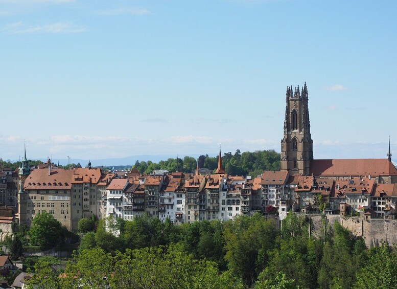 Picture 4 for Activity Fribourg - Old Town Historic Guided tour