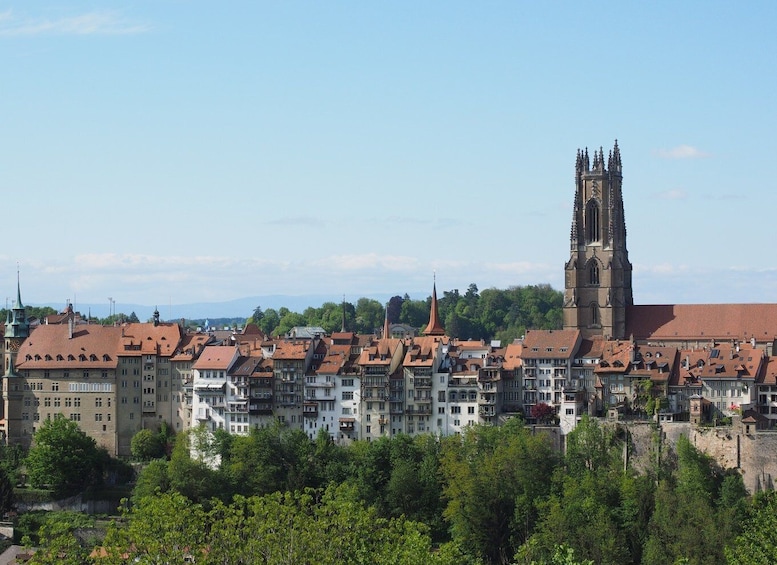 Picture 4 for Activity Fribourg - Old Town Historic Guided tour