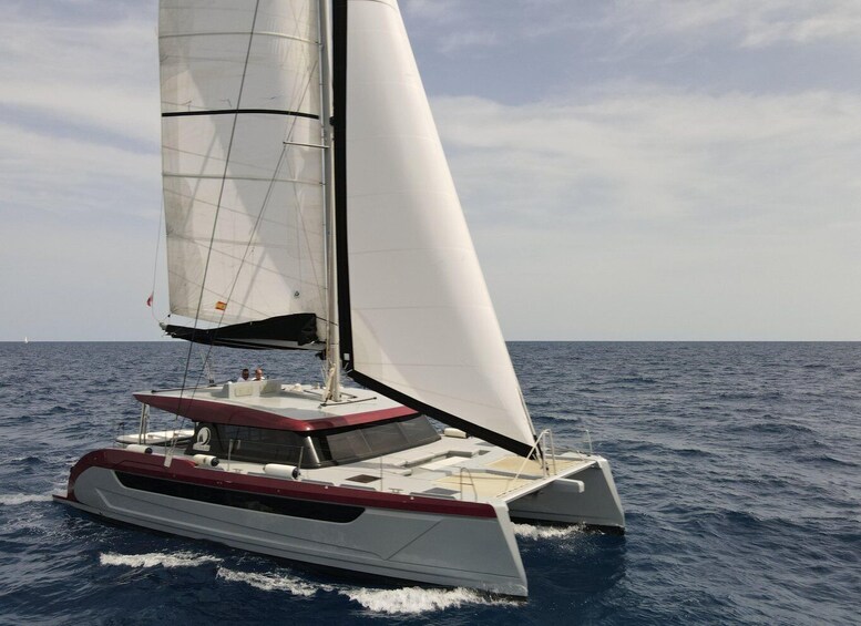 Picture 8 for Activity Luxury Private Sailing Catamaran Cruise Madeira's Coastline