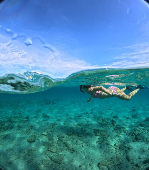 Picture 1 for Activity West Palm Beach: Private Peanut Island Boat & Snorkel Tour