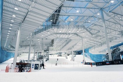 Oslo: Dagskort til alpint skiløb i SNØ Ski Dome