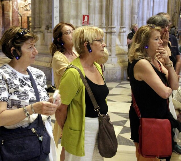 Picture 1 for Activity Highlights of Seville Monuments private Guided Tour