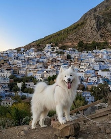 Chefchaouen Day Trip with Small Group