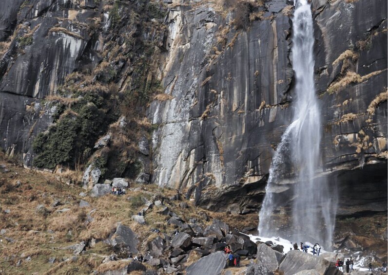 Manali Nature Walk (3 Hours Guided Trekking Experience)