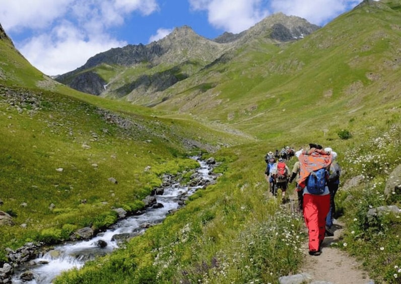 Picture 6 for Activity Manali Nature Walk (3 Hours Guided Trekking Experience)