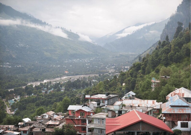 Picture 8 for Activity Manali Nature Walk (3 Hours Guided Trekking Experience)