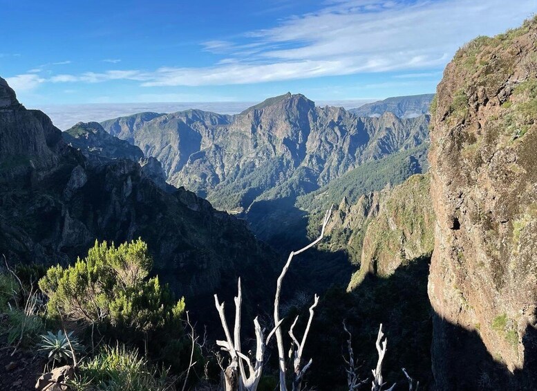 Picture 10 for Activity Private Tour:Pico Areiro -Pico Ruivo hike with Sunrise