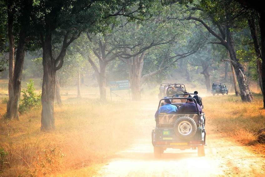 Picture 1 for Activity Half Day in Yala Safari