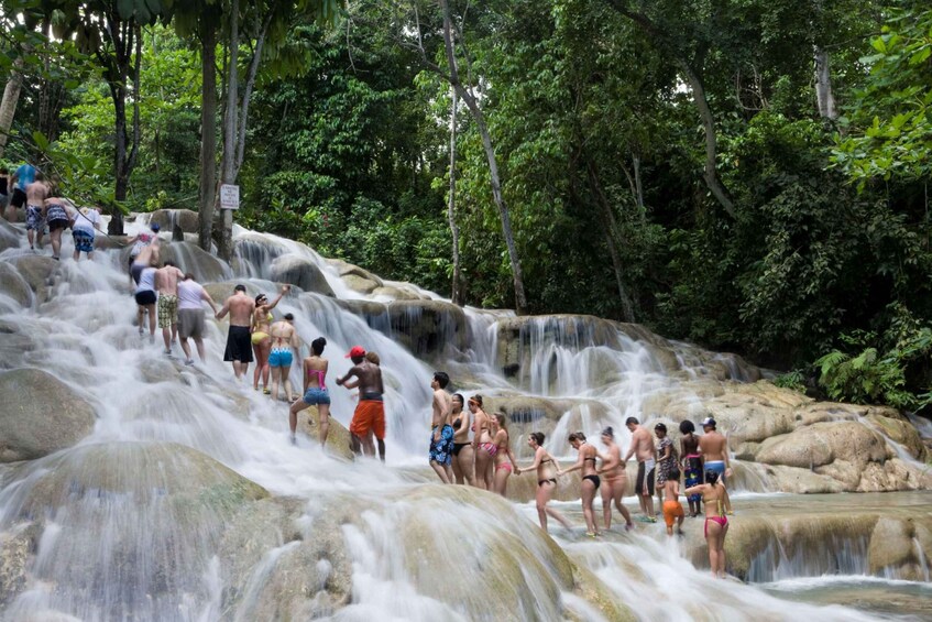 Picture 2 for Activity From Ocho Rios: Bamboo Beach Club & Dunn’s River Falls