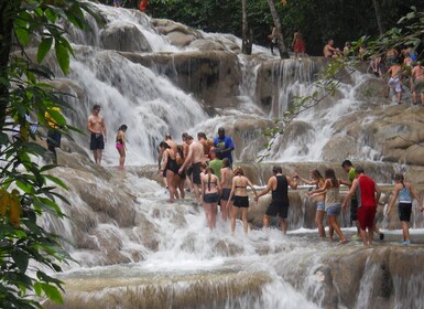 Depuis Ocho Rios : Bamboo Beach Club et Dunn's River Falls