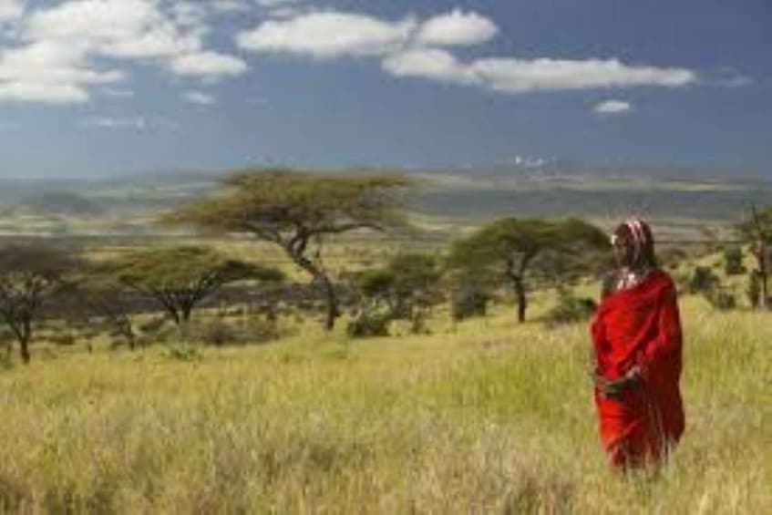 Picture 40 for Activity From Nairobi: 3 Days/2-Nights Maasai Mara Group Safari