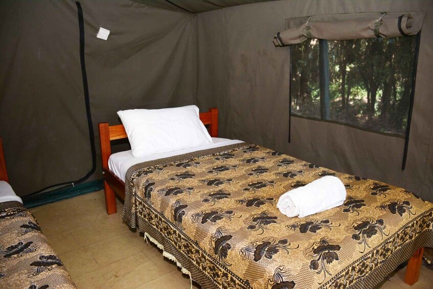 Picture 6 for Activity From Nairobi: 3-Day/2-Night Maasai Mara Group Safari