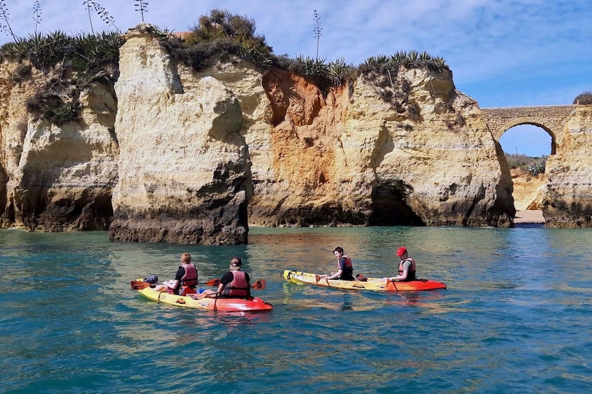 Picture 2 for Activity Lagos: Guided Kayak Tour