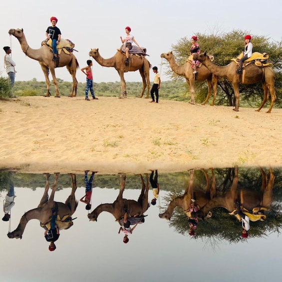 Picture 7 for Activity Jodhpur Camel Safari With Traditional Food With Sumer