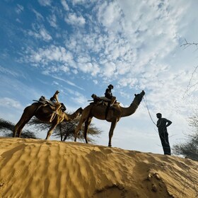 Jodhpur Camel Safari With Traditional Food With Sumer