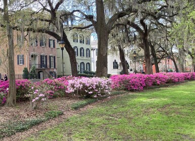 Savannah: Highlights Off the Beaten Path Guided Walking Tour