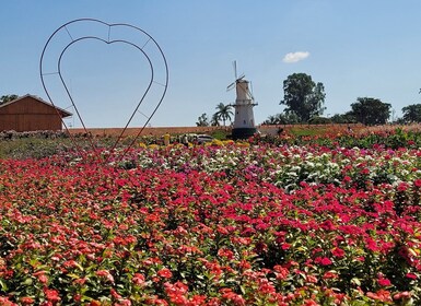 São Paulo: Holambra farverige blomsterfarm - guidet dagstur