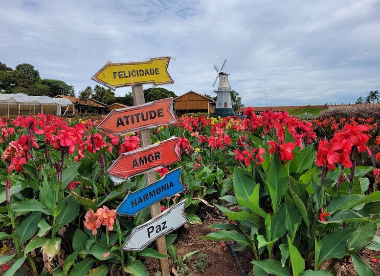 Picture 3 for Activity São Paulo: Holambra Colorful Flower Farm Guided Day Trip