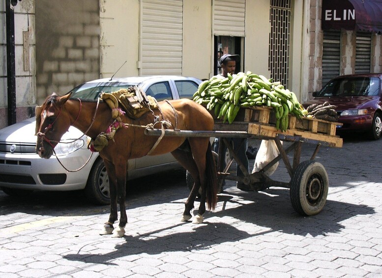 Picture 3 for Activity Santo Domingo: Private Family-Friendly Walking Tour