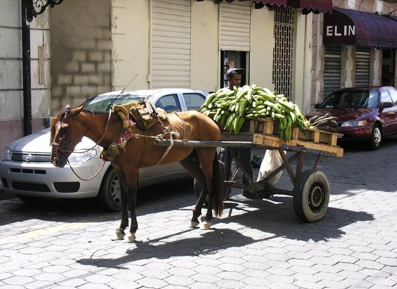 Picture 3 for Activity Santo Domingo: Private Family-Friendly Walking Tour