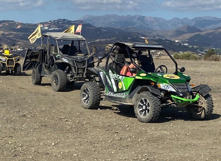 Picture 1 for Activity 2 hour Buggy Tour through the hills and mountains of Mijas.