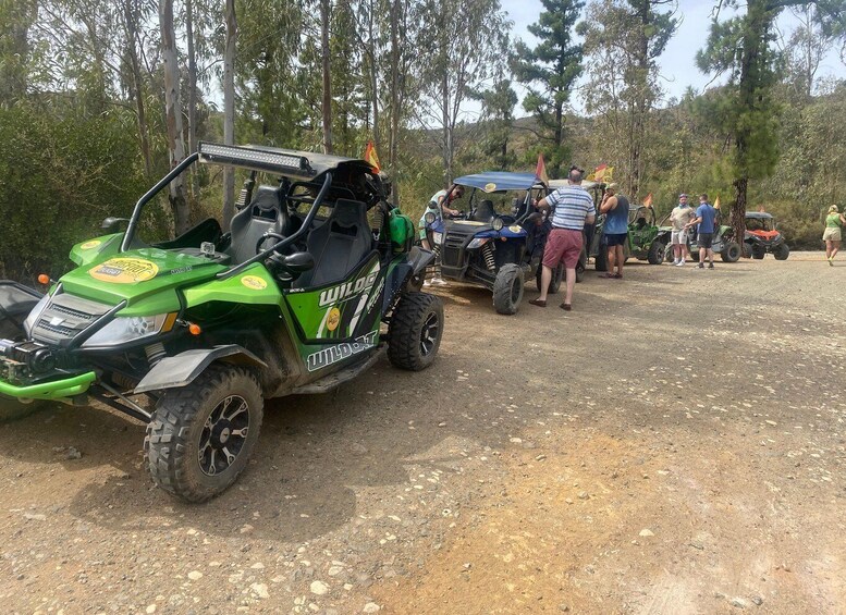 Picture 2 for Activity 2 hour Buggy Tour through the hills and mountains of Mijas.