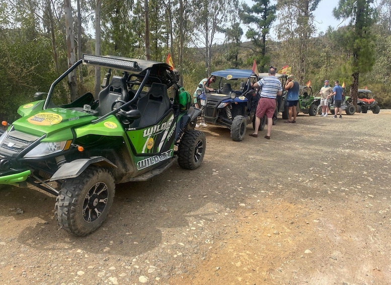 Picture 2 for Activity 2 hour Buggy Tour through the hills and mountains of Mijas.