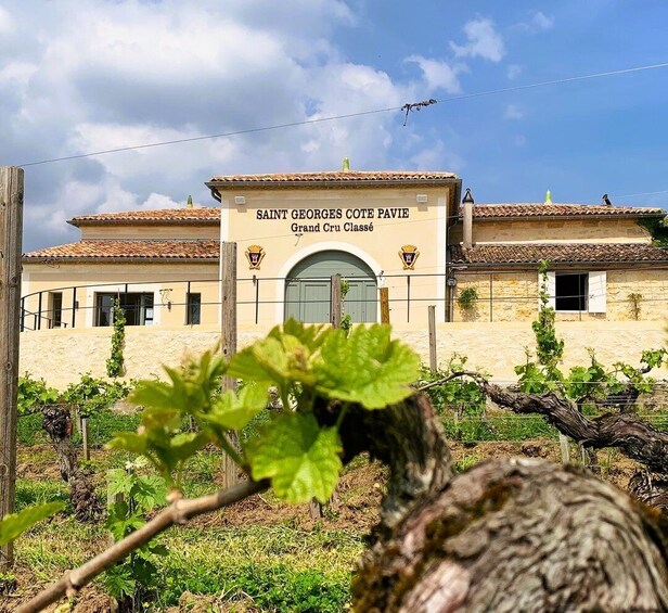 Saint-Émilion: Bordeaux Vineyard Tour and Wine Tasting