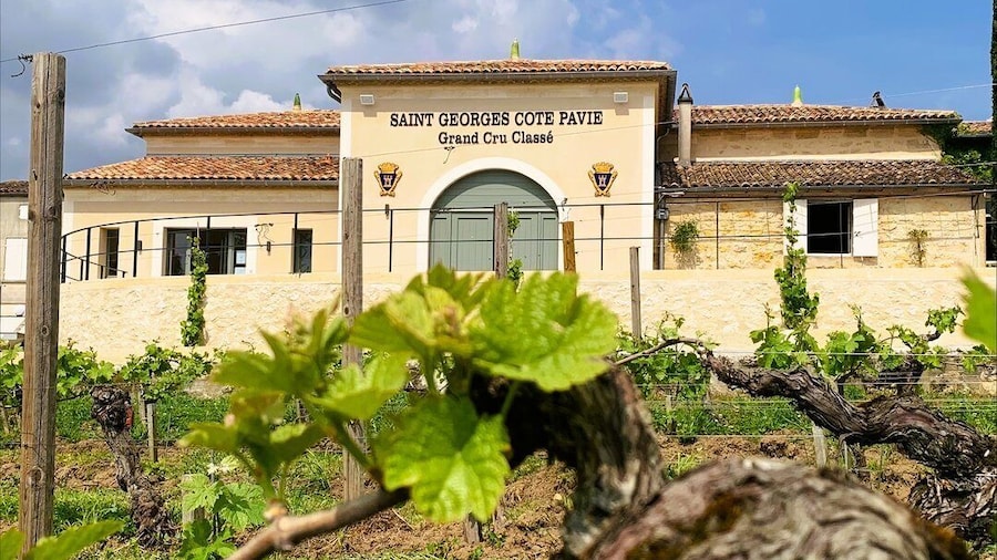 Saint-Émilion: Bordeaux Vineyard Tour and Wine Tasting