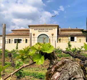 Saint-Émilion: Bordeaux Vineyard Tour and Wine Tasting