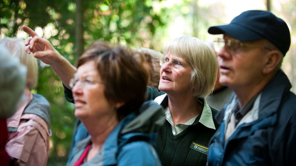 Guide talking to group at Pukaha Mount Bruce Wildlife Centre
