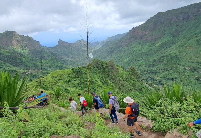 Picture 14 for Activity From Tarrafal: Hike Natural Park Serra malagueta