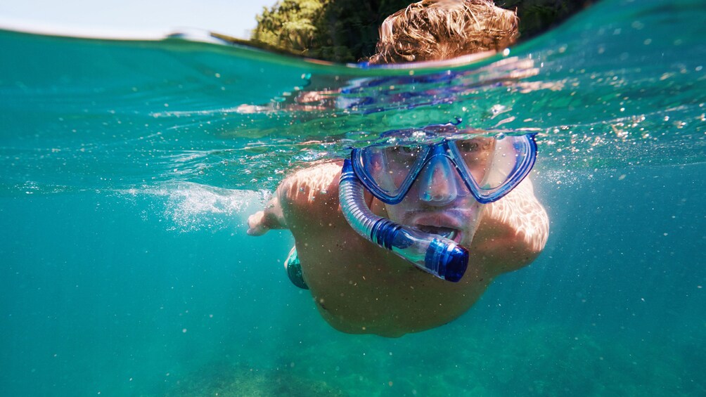 Young man snorkeling on Vanuatu Island